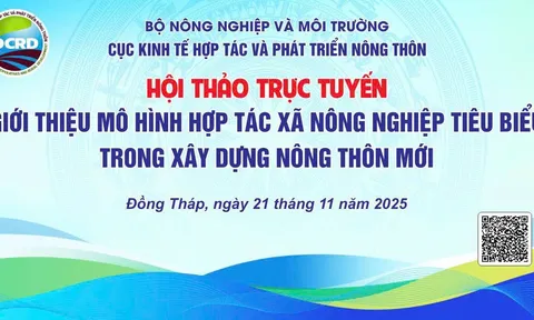 Hợp tác xã Nông nghiệp Tân Bình: Mô hình HTX điển hình trong xây dựng nông thôn mới